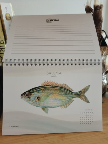 Calendário Wilder 2025 - Peixes em Águas Portuguesas - Image 6