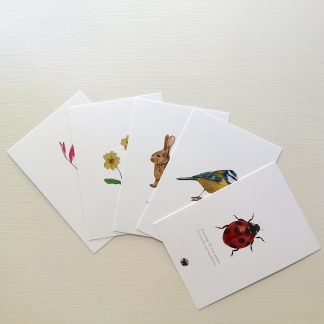Pack de postais de Primavera