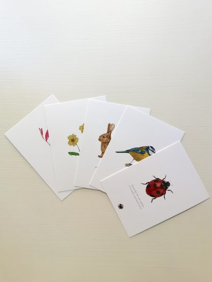 Pack de postais de Primavera