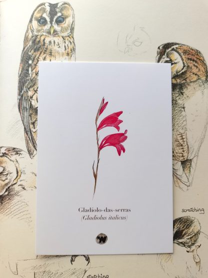 Pack de postais de Primavera - Image 7