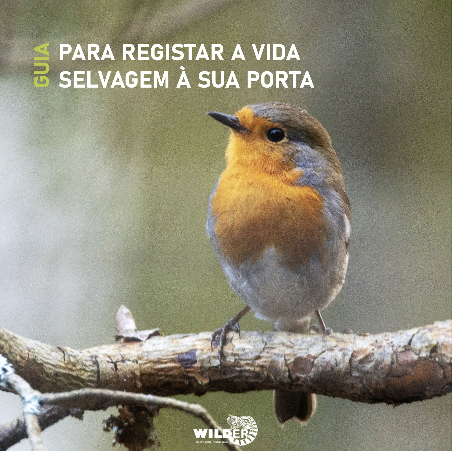 Guia para Registar a Vida Selvagem à sua Porta (produto digital)