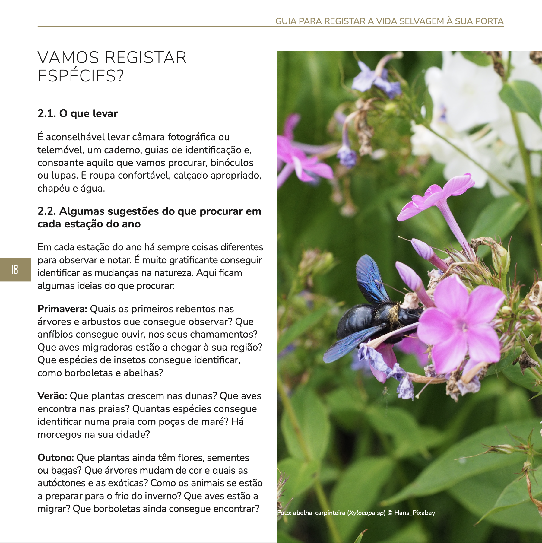 Guia para Registar a Vida Selvagem à sua Porta (produto digital) - Image 3