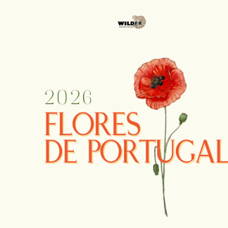 Calendário Wilder 2026 - Flores de Portugal - Últimas unidades!